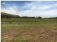 Lot 1,  The Vines Drive, Normanville SA 5204