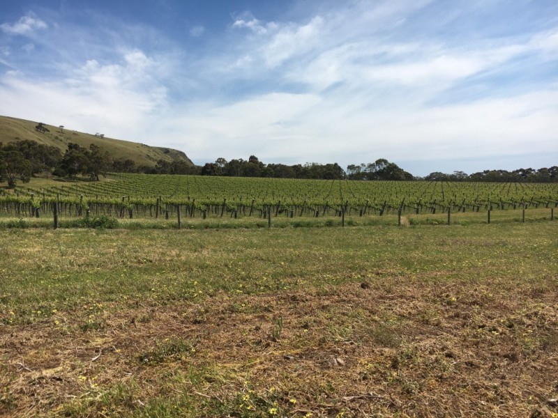 Lot 1,  The Vines Drive, Normanville SA 5204