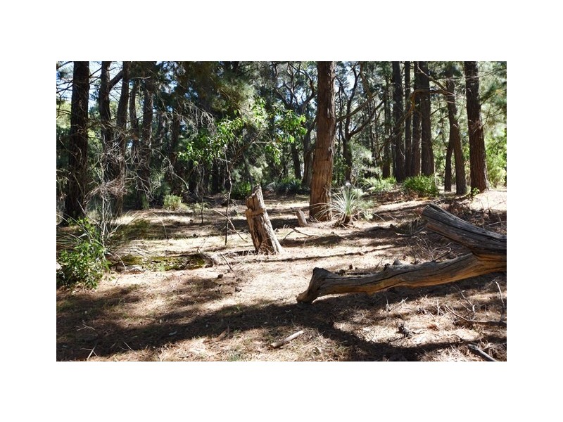 Lot 6 & 7 Rarkang Road, Silverton SA 5204