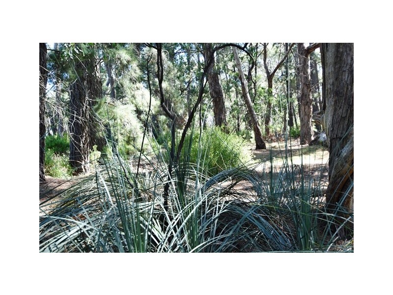 Lot 6 & 7 Rarkang Road, Silverton SA 5204