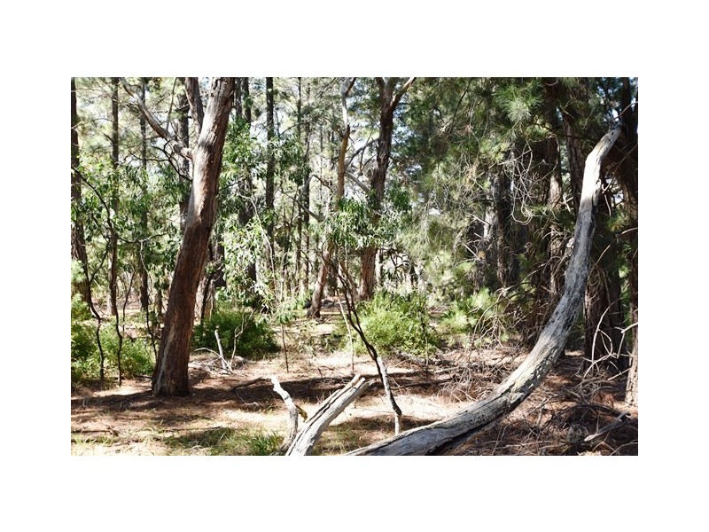 Lot 6 & 7 Rarkang Road, Silverton SA 5204