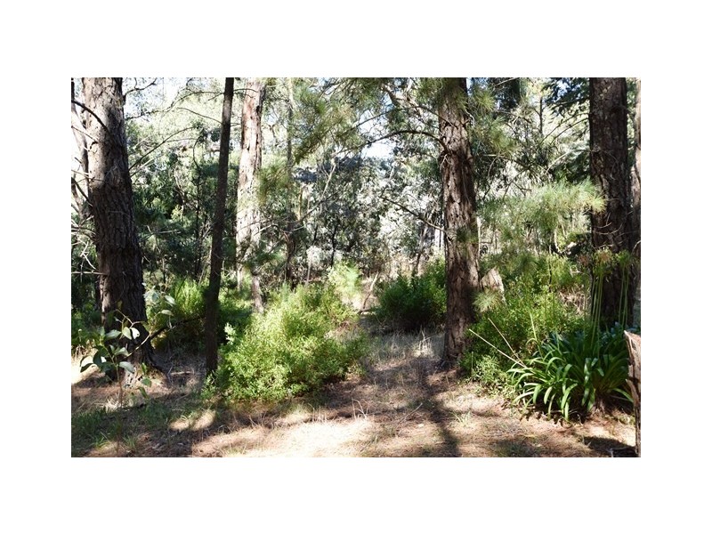 Lot 6 & 7 Rarkang Road, Silverton SA 5204