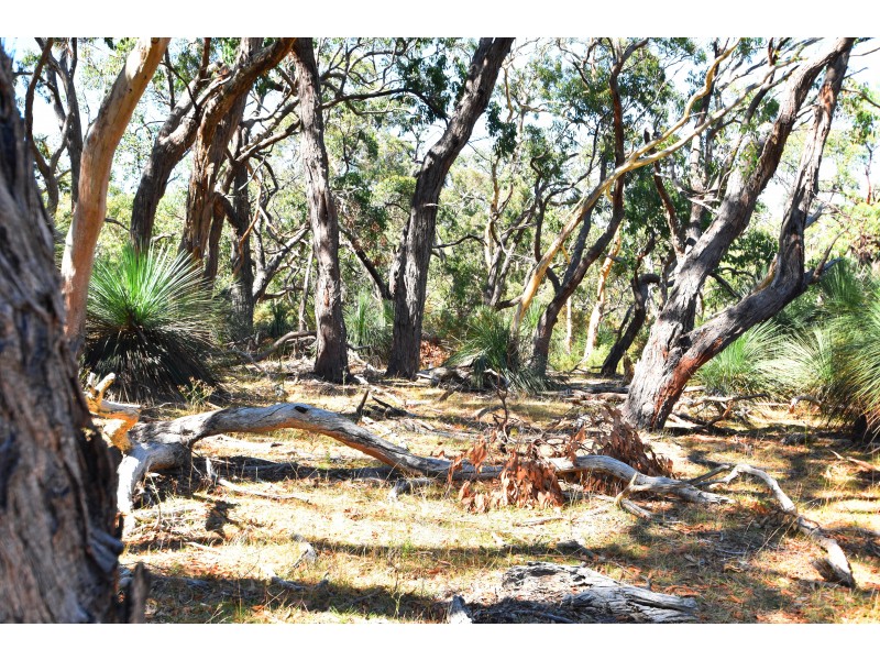 Lot 19 Forest Road, Delamere SA 5204