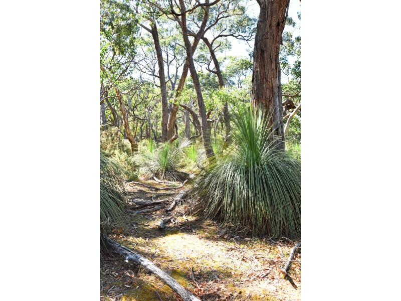 Lot 19 Forest Road, Delamere SA 5204