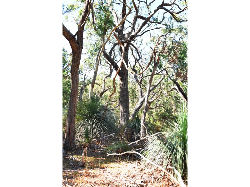 Lot 19 Forest Road, Delamere SA 5204