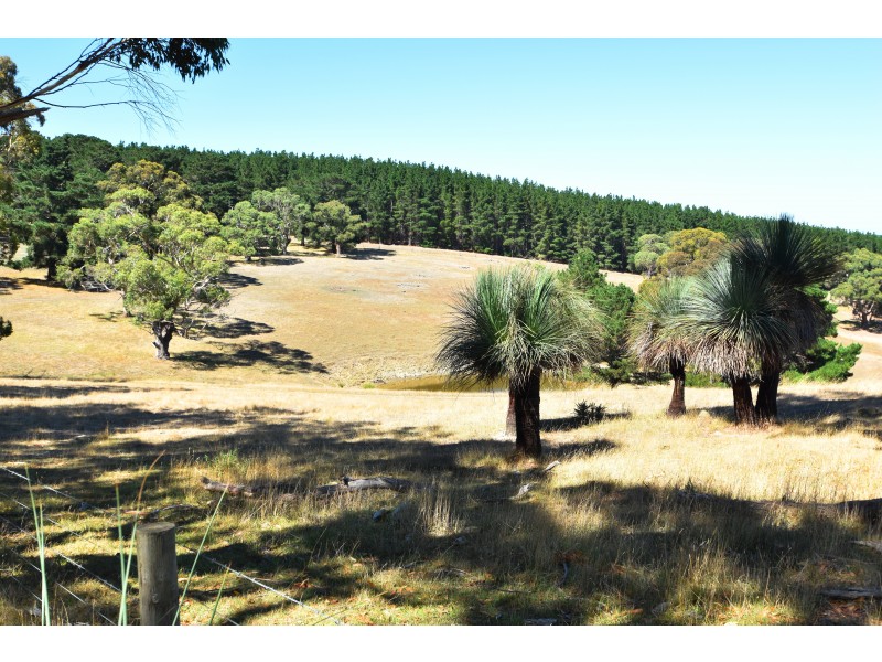 Lot 19 Forest Road, Delamere SA 5204