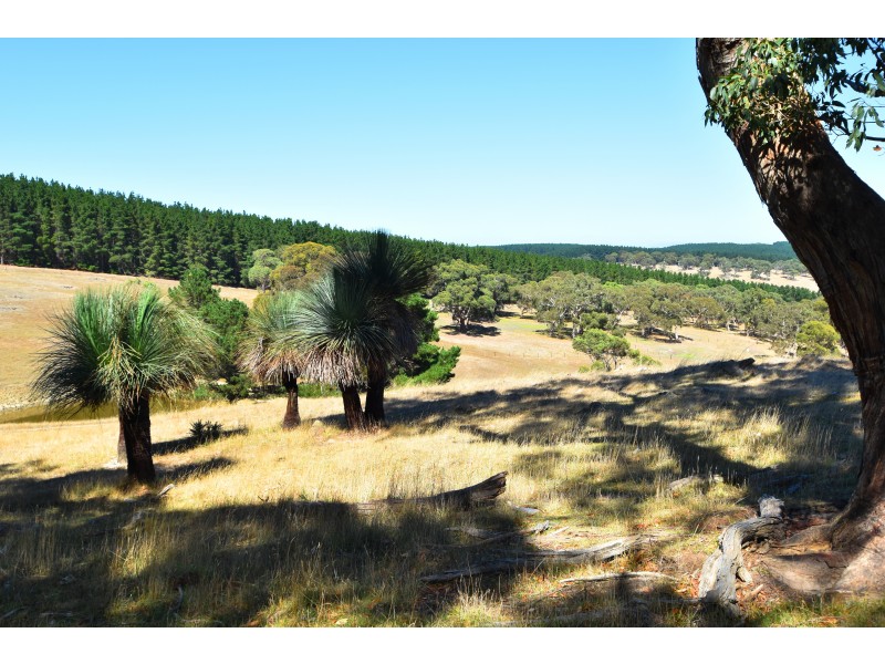 Lot 19 Forest Road, Delamere SA 5204