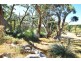 Lot 19 Forest Road, Delamere SA 5204