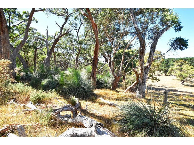 Lot 19 Forest Road, Delamere SA 5204