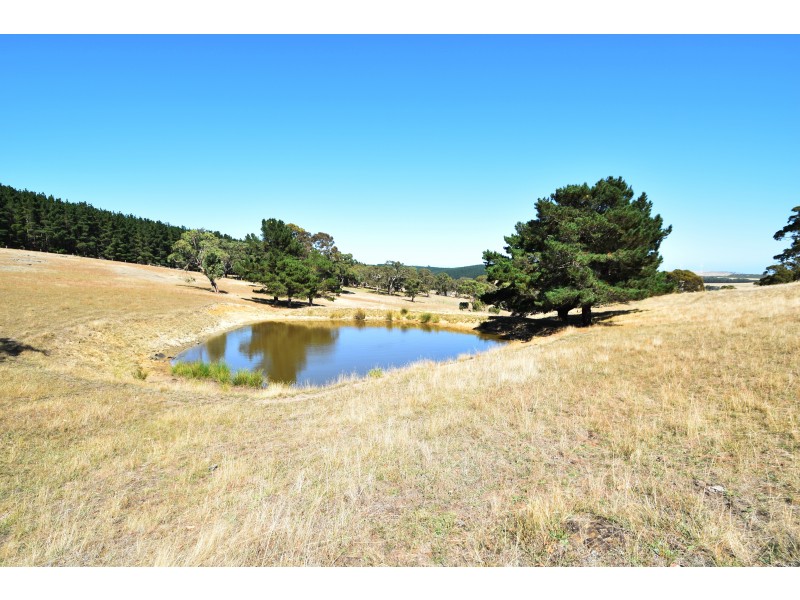 Lot 19 Forest Road, Delamere SA 5204