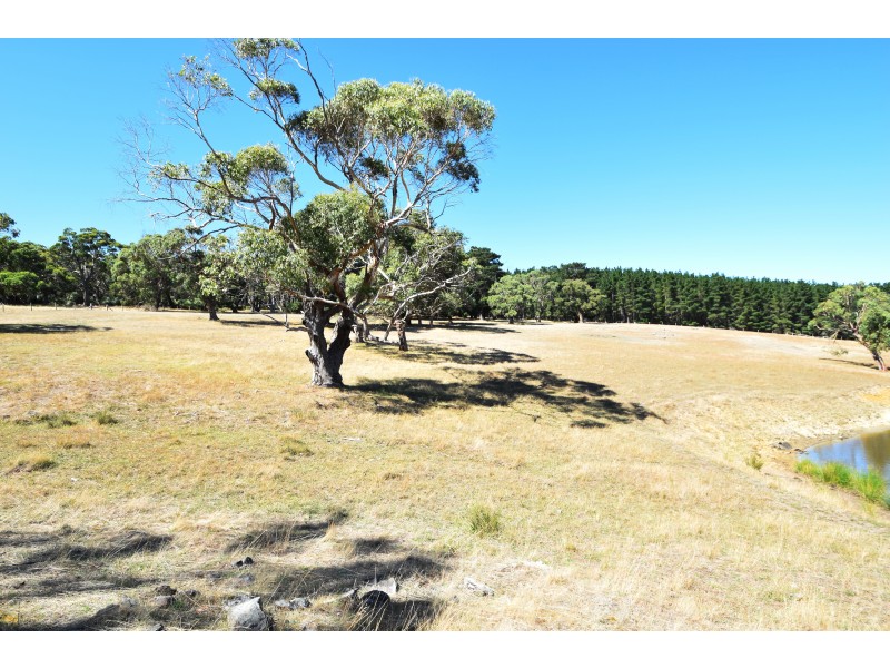 Lot 19 Forest Rd, Delamere SA 5204