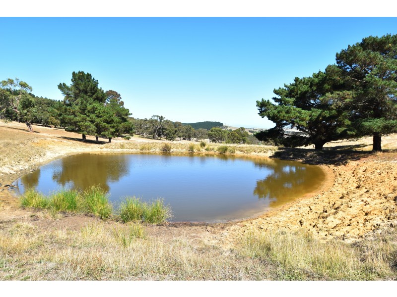 Lot 19 Forest Rd, Delamere SA 5204