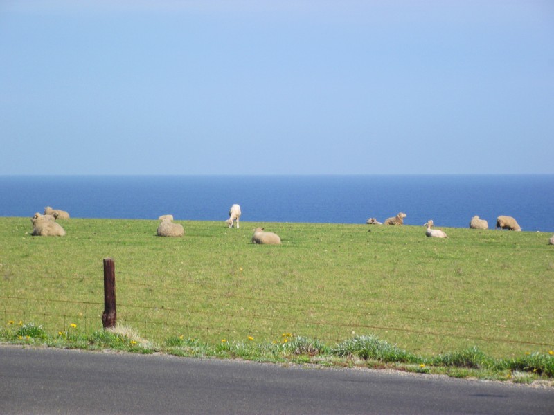 67 Norman Avenue, Normanville SA 5204