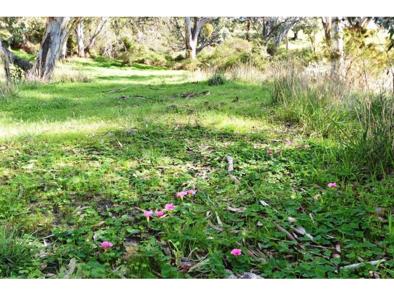 129 Smith Hill Road, Yankalilla SA 5203