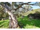 129 Smith Hill Road, Yankalilla SA 5203