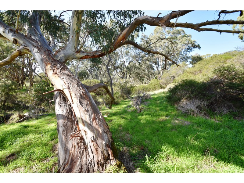 129 Smith Hill Road, Yankalilla SA 5203