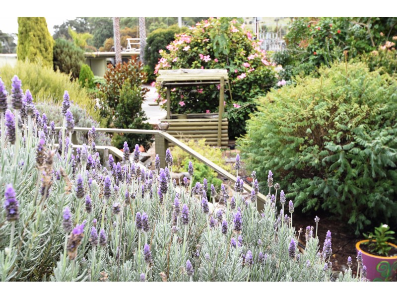 3 Glebe Avenue, Yankalilla SA 5203