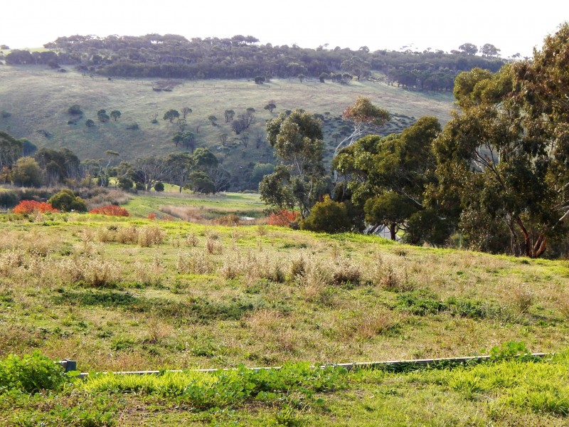 Lot 12, 174 Paradise Drive, Wirrina Cove SA 5204