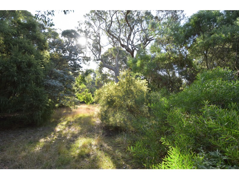 Lot 16 Rarkang Road, Silverton SA 5204