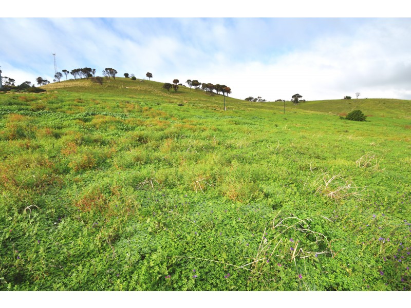 Lot 213 Birkdale Street, Normanville SA 5204