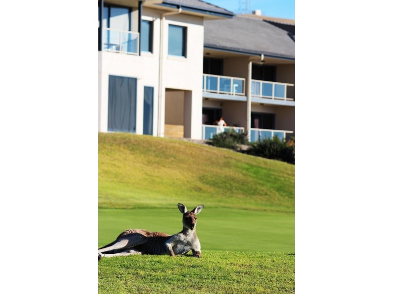 Lot 267 & 268, 5 & 6 The Vines Drive, Normanville SA 5204