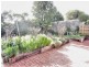 41 Bindy Street, Forest Hill VIC 3131