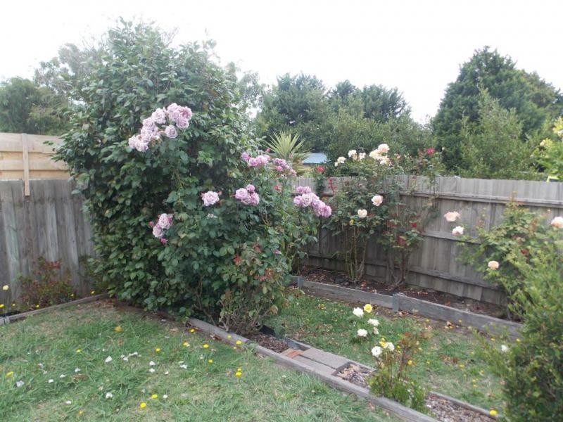 3 The Mews, Hampton Park VIC 3976