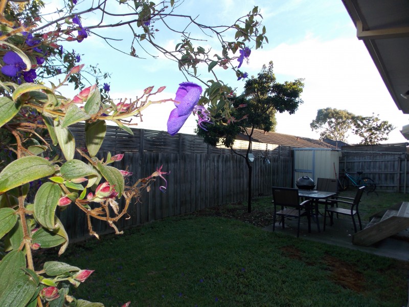 1/1 Brunnings Road, Carrum Downs VIC 3201