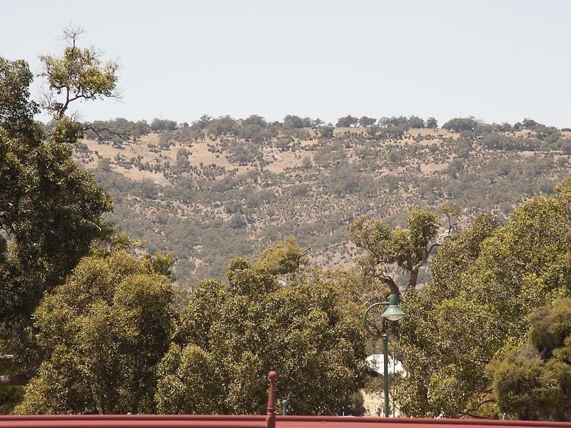 9 Longview Way, The Vines WA 6069