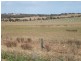 Lot 26 Jandanol Road, Rudds Gully WA 6532