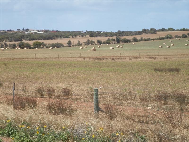 Lot 26 Jandanol Road, Rudds Gully WA 6532