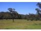 Lot 1259,  Walter Pierce, Denmark WA 6333