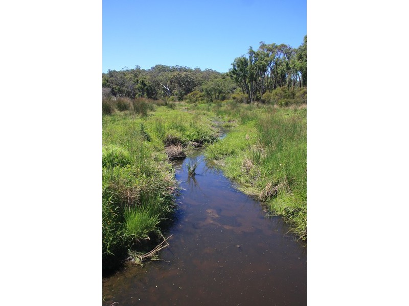 Lot 1259,  Walter Pierce, Denmark WA 6333
