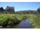 Lot 1259,  Walter Pierce, Denmark WA 6333