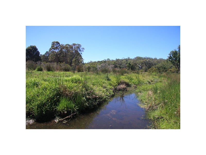 Lot 1259,  Walter Pierce, Denmark WA 6333