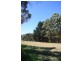 Lot 1259,  Walter Pierce, Denmark WA 6333