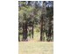 Lot 1259,  Walter Pierce, Denmark WA 6333
