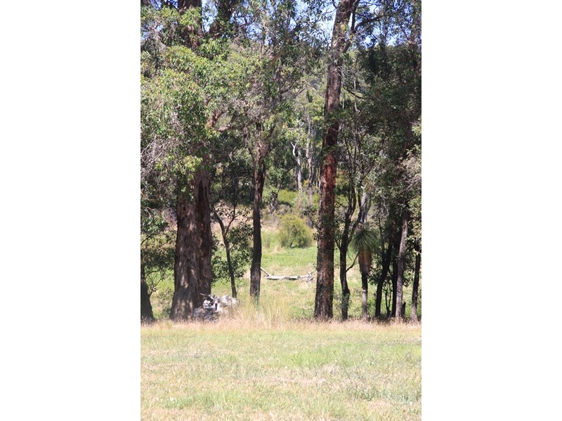 Lot 1259,  Walter Pierce, Denmark WA 6333