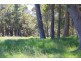 Lot 1259,  Walter Pierce, Denmark WA 6333