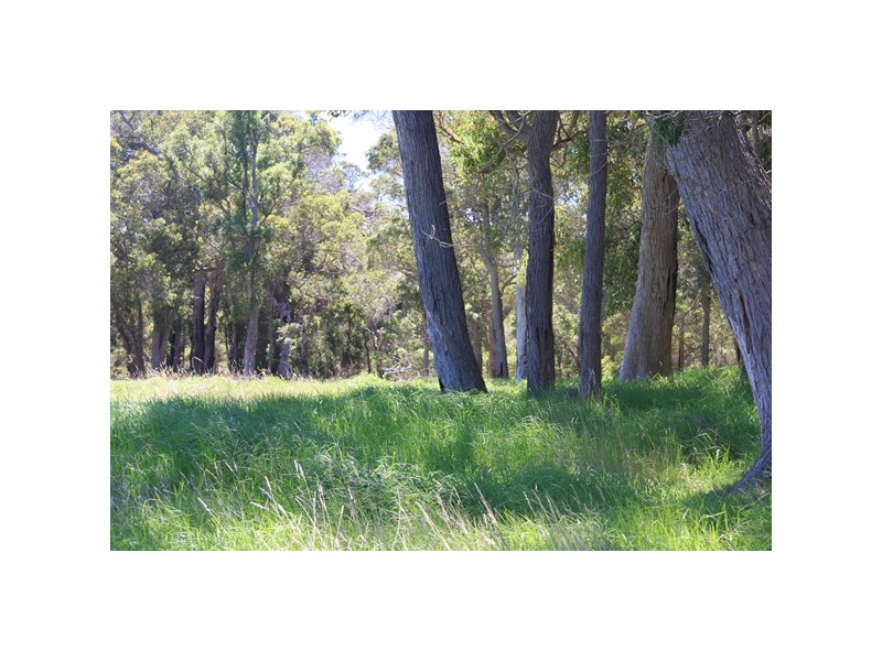 Lot 1259,  Walter Pierce, Denmark WA 6333