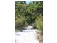 Lot 1259,  Walter Pierce, Denmark WA 6333