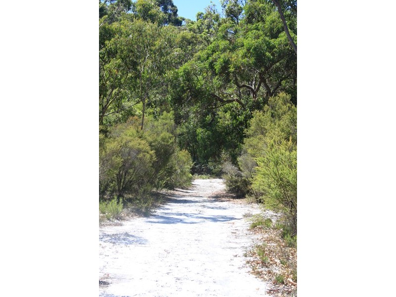 Lot 1259,  Walter Pierce, Denmark WA 6333
