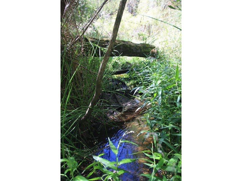 Lot 1259,  Walter Pierce, Denmark WA 6333