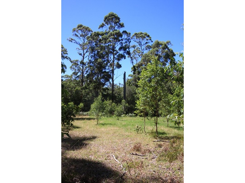 Lot 1259,  Walter Pierce, Denmark WA 6333