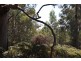 Lot 1259,  Walter Pierce, Denmark WA 6333