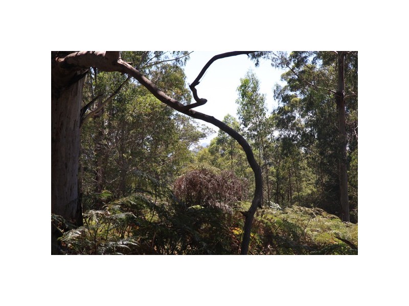 Lot 1259,  Walter Pierce, Denmark WA 6333