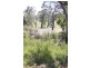 Lot 1259,  Walter Pierce, Denmark WA 6333