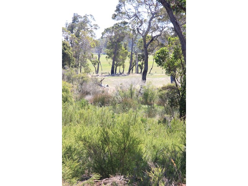 Lot 1259,  Walter Pierce, Denmark WA 6333