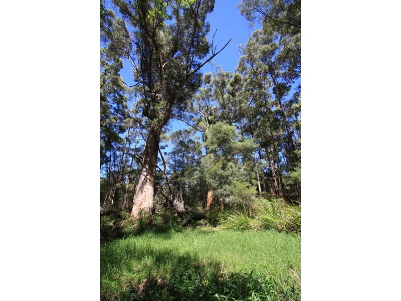 Lot 1259,  Walter Pierce, Denmark WA 6333