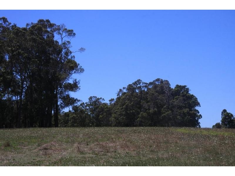 Lot 1259,  Walter Pierce, Denmark WA 6333
